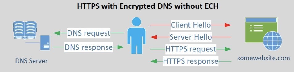 Hydra  DNS  TLS-HTTPS.jpg