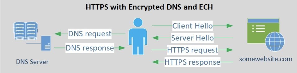 Hydra  DNS  TLS-HTTPS 2.jpg