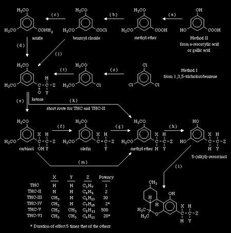 THC Synthesis - Overview.jpg
