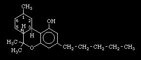 Synthesis of THC - Tetrahydrocannabinol.jpg