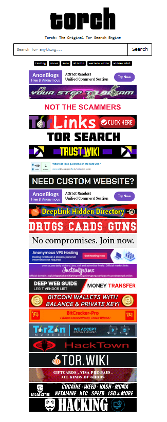 Torch search engine for those who search on the dark web.png