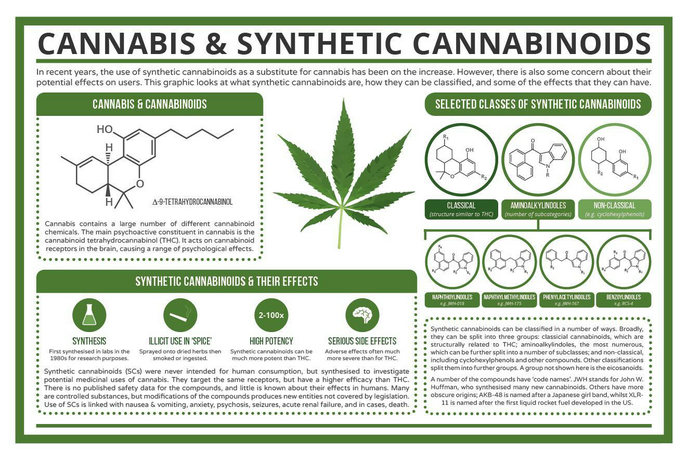 Cannabis - synthetic cannabinoids.png