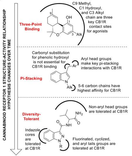 General structural information of synthetic cannabinoids using JWH-018 as an example.png