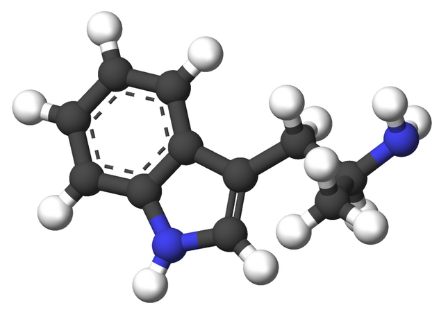 Alpha-Methyltryptamine-3d-sticks.png