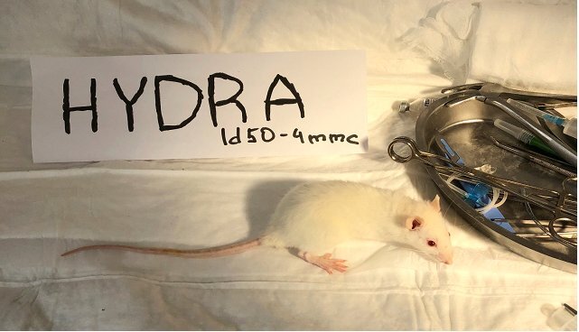 Hydra опыты над животными.jpg