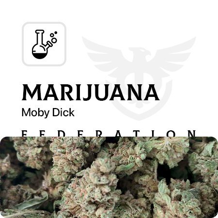 product_Бошки Moby Dick.jpg