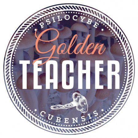 product__ Golden Teacher.jpg
