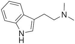 DMT N_N-dimethyltryptamine.jpg