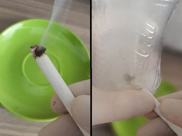 Hydra smoking hashish on a cigarette.jpg