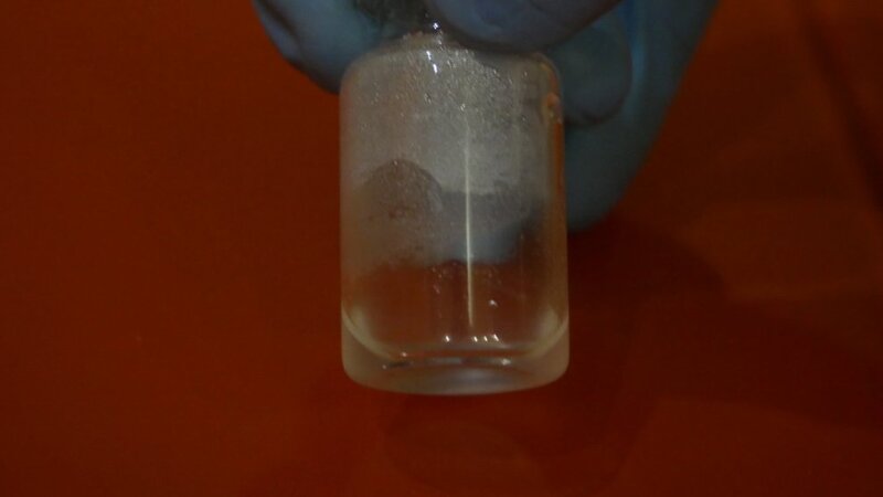 Hydra microcrystalline cellulose vesicle 4.jpg