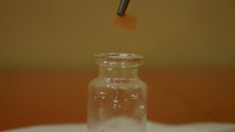 Hydra measure the pH of a solution with a universal indicator 2.jpg