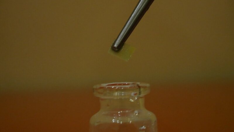Hydra measure the pH of a solution with a universal indicator 3.jpg