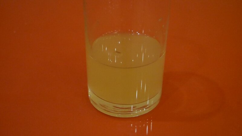 Hydra reagents Add 5 ml of hydrochloric acid solution 1.jpg