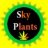 Sunny_Sky Plants